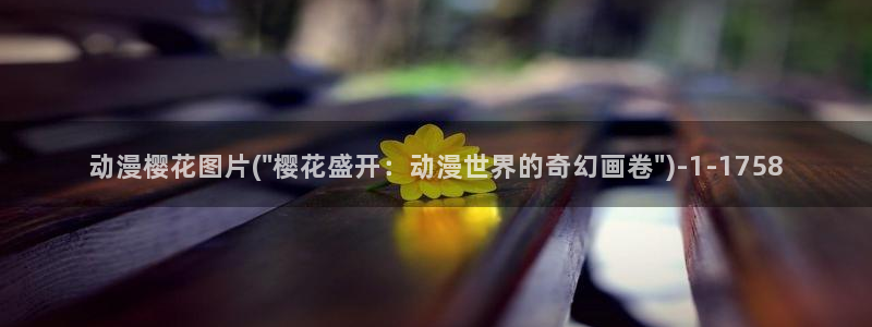 樱花动漫网在线观看